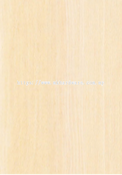 ARBORITE A8835-M+ Light Beech (Door Collection)