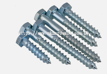 COACH SCREW LEG BOLT