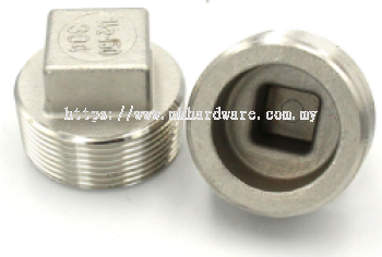 NPT/BSP PLUG