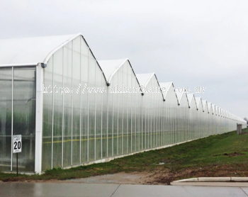 CLEAR GREENHOUSE FABRIC