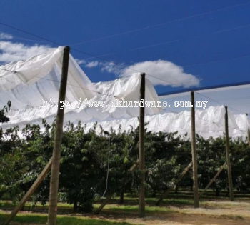 ORCHARD/VINEYARD RAIN COVER