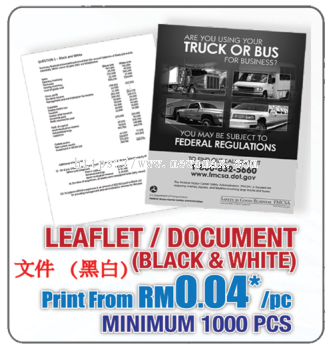 Leaflet/Document (Black & White)