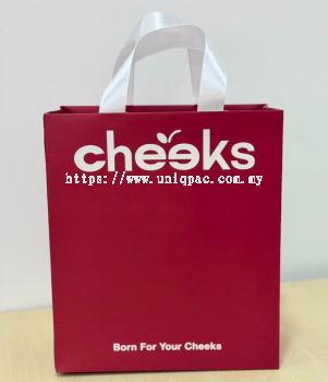 Paper Bag With Ribbon