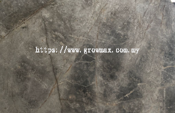 Fior di Bosco Marble