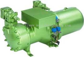 CSW7583-70(Y) BITZER SCREW COMPRESSOR MOTOR 