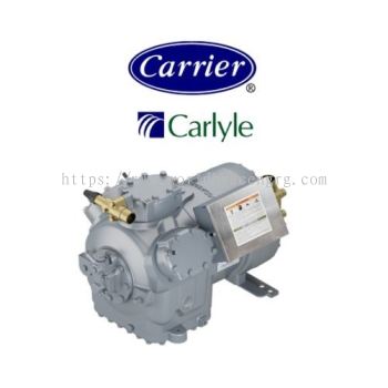 06DA8246 CARRIER CARLYLE SEMI HERMERTIC COMPRESSOR MOTOR 