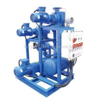 EVP - JZJ2B Roots-Liquid Ring Pump System