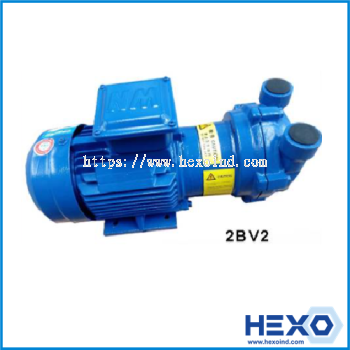 2BV Series Liquid Ring Vacuum Pumps