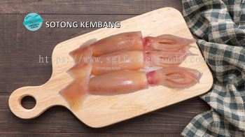 Sotong Kembang