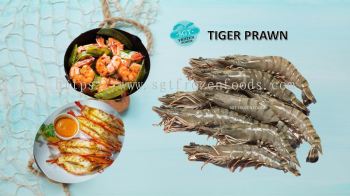 Tiger Prawn