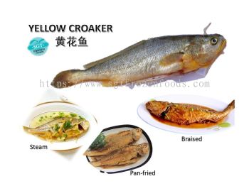 Yellow Croaker (Cleaned)