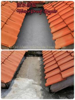 Waterproof Rooftop Service