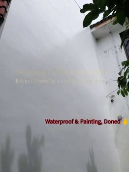House waterproofing & Painting Project