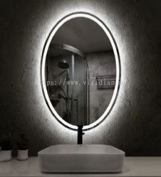 Mirror (CTL205)