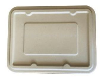 Sugar Bagasse - 4 Compartment (Large) Food Container - Lid