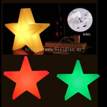 LED Christmas star  (238)