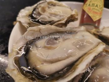 Full Shell Oyster (Sashime Grade）