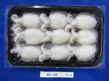 BABY CUTTLEFISH (TRAY PACKING)