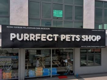 Purrfect Pets Shop