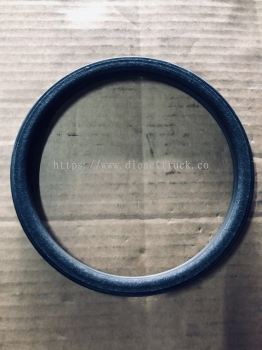 OIL SEAL (1543896)