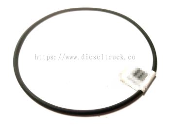 CENTRIFUGAL O-RING TOP (DC11) 1769799