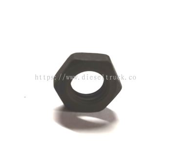 ROCKER ARM NUT DSC11 (3 SERIES) 394640