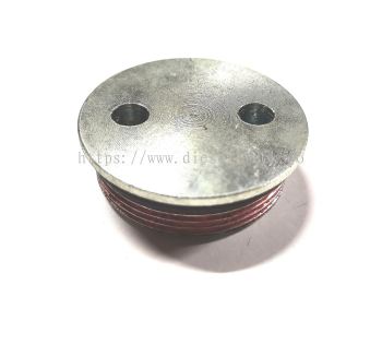  PLUG HEAD WATER (36MM)FL10/D10 8194467