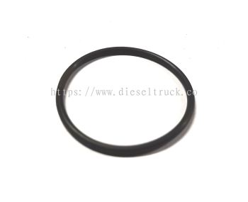  PLUG HEAD WATER ORING (36MM)D10 949762