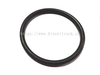 OIL COOLER O-RING (BIG)  1484766