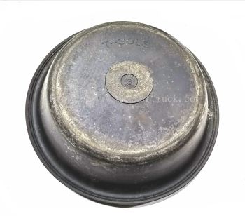 DIAPHRAGM TYPE 30 (HIGH) 00031