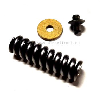 INJECTOR PLUNGER KIT (BOSCH) 4 SERIES 1541175 