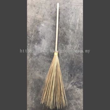 Lidi Broom With Handle