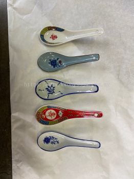 Porcelain Spoon