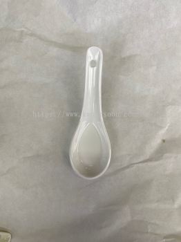 Porcelain Spoon