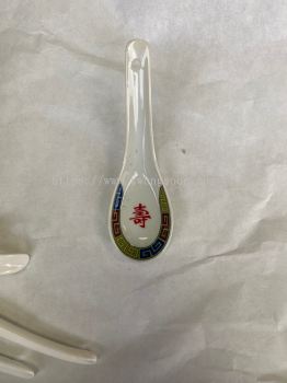 Porcelain Spoon