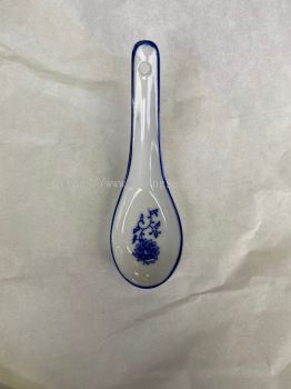 Porcelain Spoon