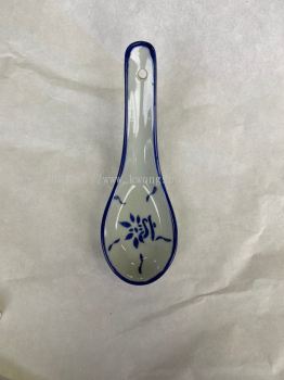 Porcelain Spoon