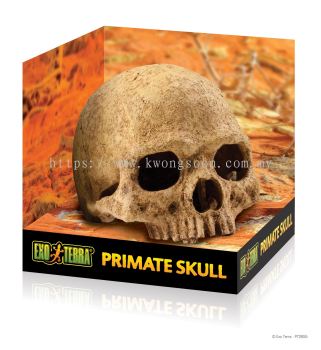 PT2855 EXO TERRA PRIMATE SKULL