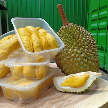 Fruit Packing Box / Plastic Container /ˮ�� ���� ���ϴ����