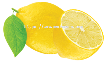Lemon Juice / Puree