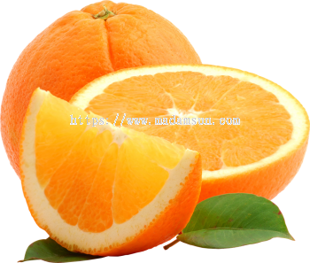Orange Juice / Puree