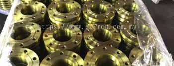 Mild Steel Flange