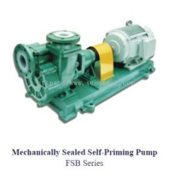 Maggion Mechanically Sealed Self Priming Pump FSB Series