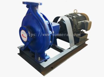 Shindo End Suction Pump S Series