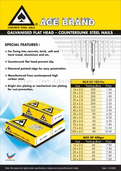 ACE Galvanised Flat Head  Countersunk Steel Nails (WS)