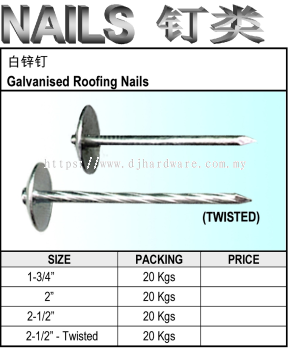 ACE GALVANISED ROOFING NAILS (WS)