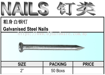 ACE GALVANISED STEEL NAILS (WS)