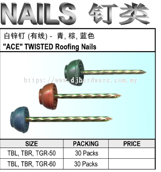 ACE TWISTED ROOFING NAILS (WS)