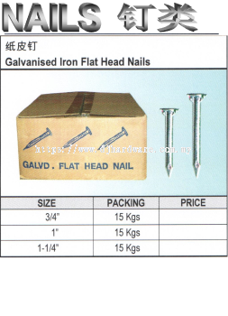 GALVANISED IRON FLAT HEAD NAILS (WS)