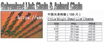 CHINA BRIGHT STEEL LINK CHAINS 100FT (WS)